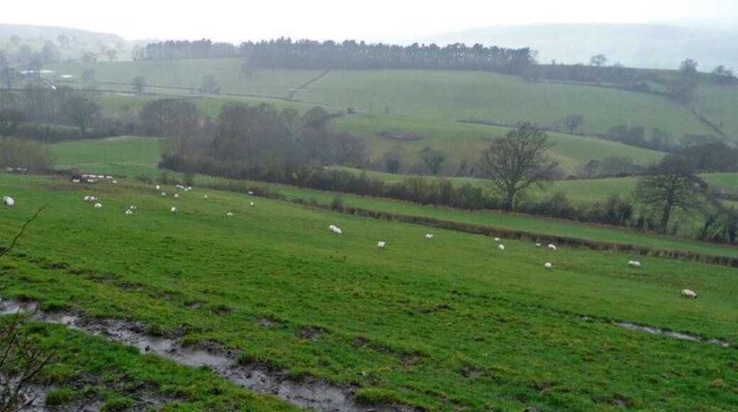 Rolling hills, deep valleys The fertile pastures of West Shropshire to the west of Meadowtown.