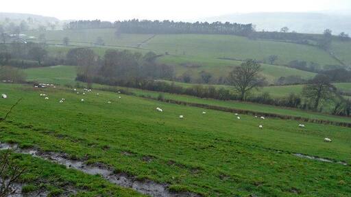 Rolling hills, deep valleys The fertile pastures of West Shropshire to the west of Meadowtown.