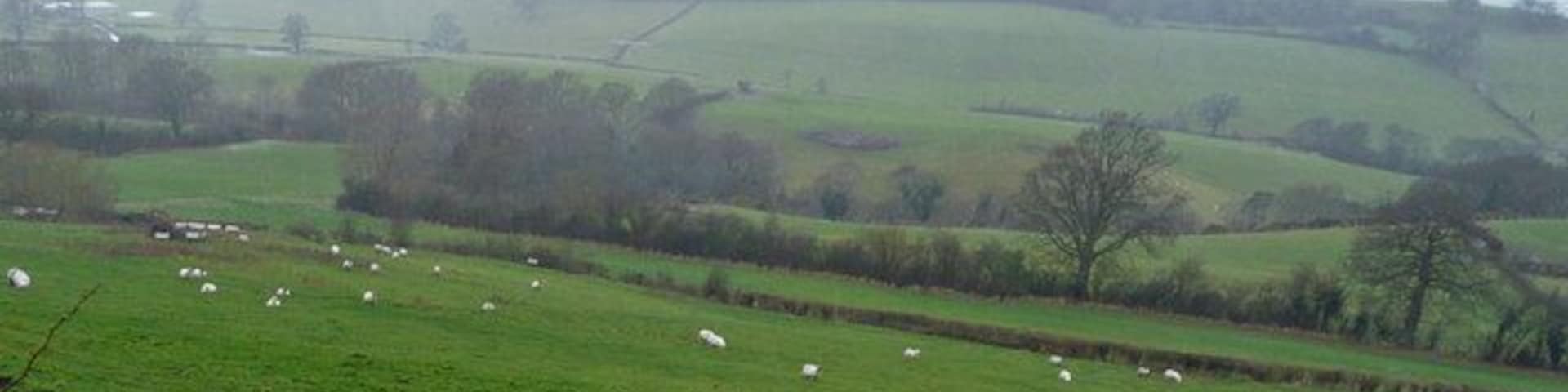 Rolling hills, deep valleys The fertile pastures of West Shropshire to the west of Meadowtown.