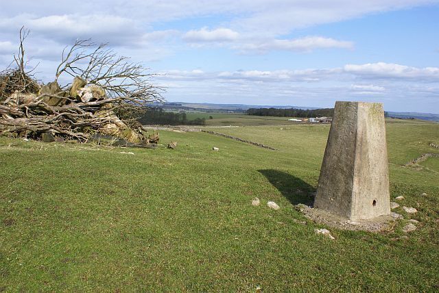 Triangulation pillar on the Weaver Hills Looking in the direction on Weaver Farm from the trig point on the Weaver Hills. The land around the Weaver Hill is now Open Access land. There is a large pile of sizeable tree trunks and branches adjacent to the pillar which appear to have been brought to this location.