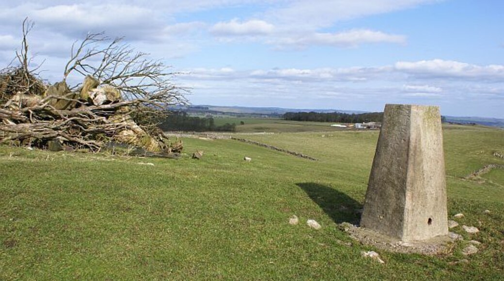 Triangulation pillar on the Weaver Hills Looking in the direction on Weaver Farm from the trig point on the Weaver Hills. The land around the Weaver Hill is now Open Access land. There is a large pile of sizeable tree trunks and branches adjacent to the pillar which appear to have been brought to this location.