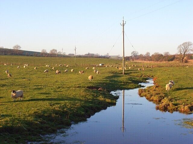 Lamb Beck and pasture, Blencow Looking upstream along the watercourse that joins the River Petteril just south of here.