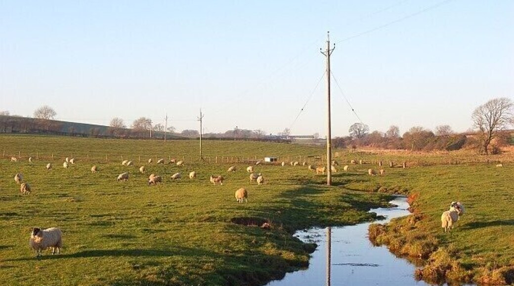 Lamb Beck and pasture, Blencow Looking upstream along the watercourse that joins the River Petteril just south of here.