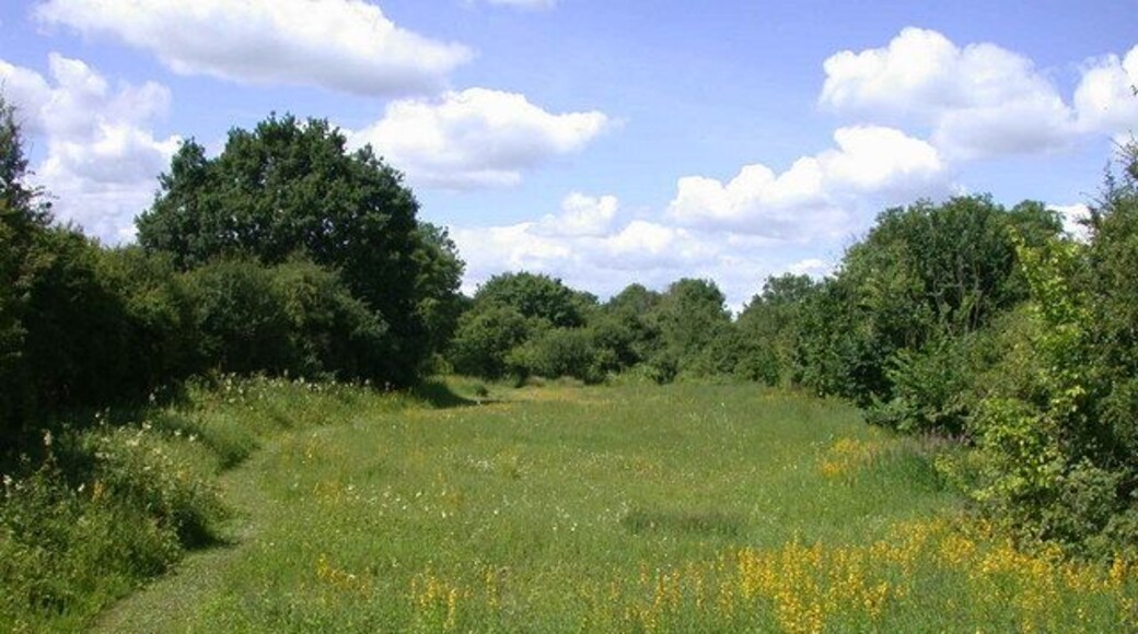 Kingston & Bourn old railway Local Nature Reserve A long thin reserve between the B1046 and the Bourn Brook, owned and managed by Cambridgeshire County Council.