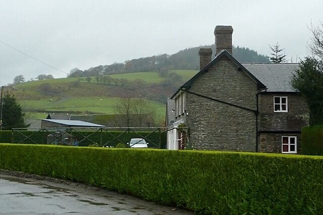 Hedge in Newcastle This long hedge, surrounding a property near the village centre, had been immaculately cut. But the photo does not do it justice. At the time it was a "wow stop and take a photo" moment. The hill beyond is Castle Idris in SO2382