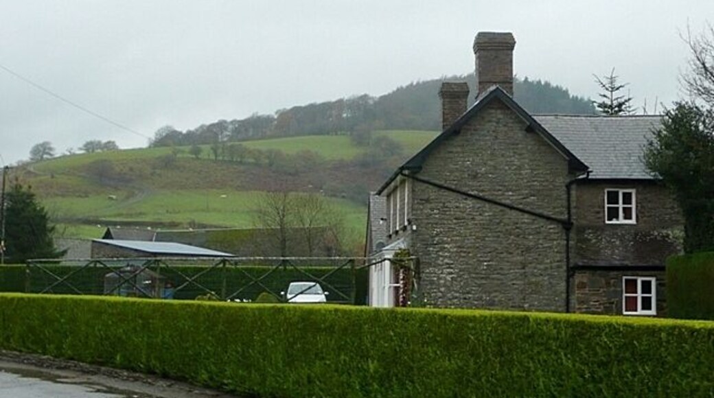 Hedge in Newcastle This long hedge, surrounding a property near the village centre, had been immaculately cut. But the photo does not do it justice. At the time it was a "wow stop and take a photo" moment. The hill beyond is Castle Idris in SO2382