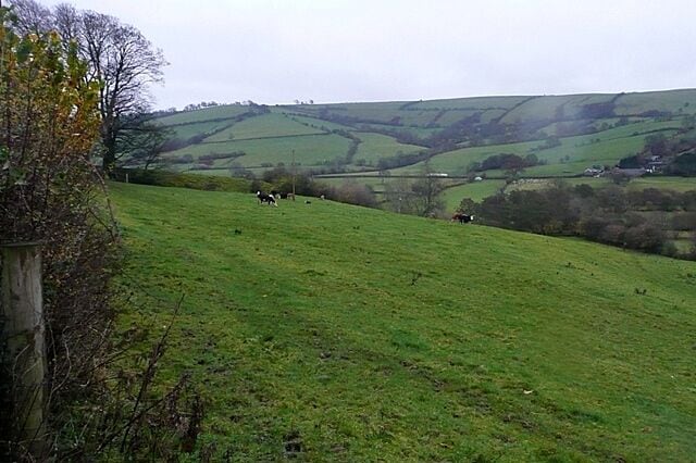 Towards Bryndrinog The farm buildings are not seen from here as the land falls steeply from the lane towards the River Clun. Offa's Dyke Path follows the field boundary.