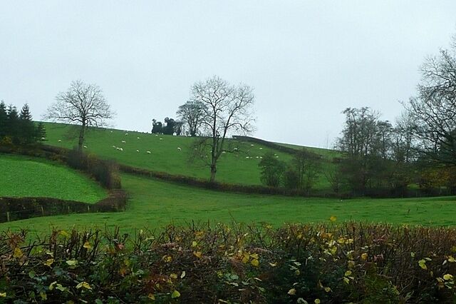 South of Mardu Sheep pasture and some arable land to the left belonging to either The Tump or Bryn-coch