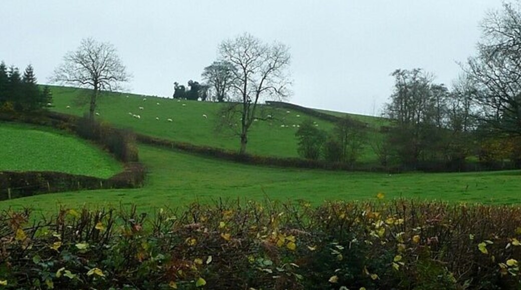 South of Mardu Sheep pasture and some arable land to the left belonging to either The Tump or Bryn-coch