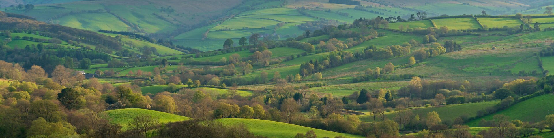 Rolling green hills, scattered trees, and a distant mountain range.