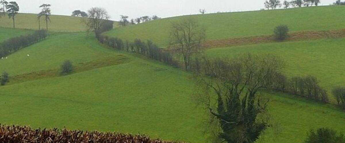 Offa's Dyke from the west The earthwork crossing the centre of the picture is Offa's Dyke, seen from the hillside on the opposite side of the valley cutting across this steeply undulating land. This would have been the view of the Welsh tribes approaching from the west in the 8th century, although the actual earthwork would have been bigger. Offa's Dyke long distance path follows the dyke at this point.