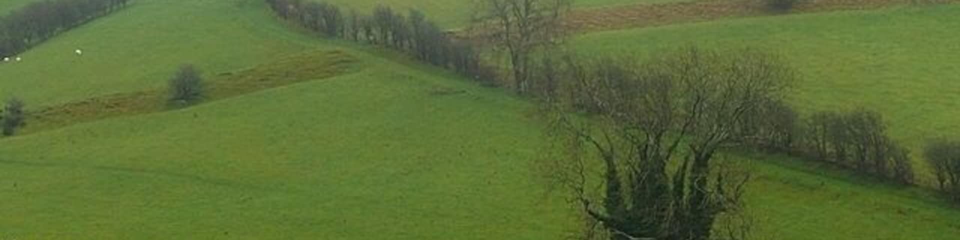 Offa's Dyke from the west The earthwork crossing the centre of the picture is Offa's Dyke, seen from the hillside on the opposite side of the valley cutting across this steeply undulating land. This would have been the view of the Welsh tribes approaching from the west in the 8th century, although the actual earthwork would have been bigger. Offa's Dyke long distance path follows the dyke at this point.