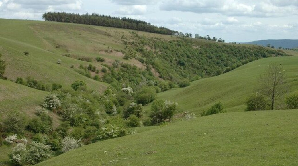Mount Bank from 'Foxhole' The overgrown path through this valley leads to a narrow lane at Bridge Farm on the Offa's Dyke long distance path.