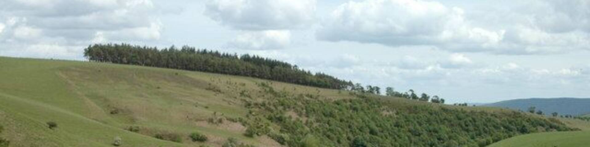 Mount Bank from 'Foxhole' The overgrown path through this valley leads to a narrow lane at Bridge Farm on the Offa's Dyke long distance path.