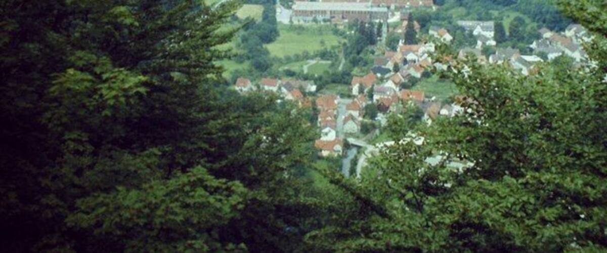 A town nestled in a valley with a river running through it, surrounded by forested hills.