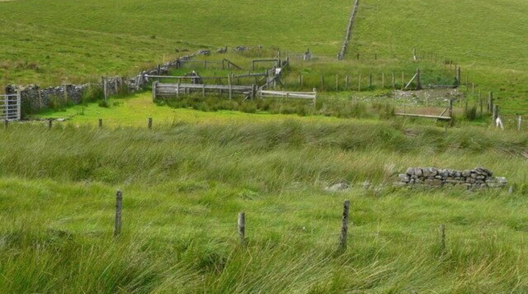 Sheep fold near the watershed Looking north-west from the A4067 towards the Cefn Cul ridge.