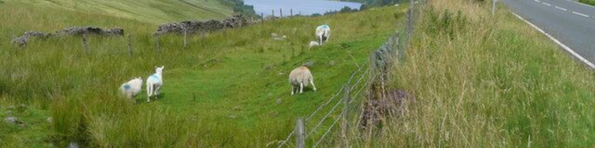 The Blaen-crai Looking north-east from the Bwlch Bryn-rhudd towards the Cray Reservoir.