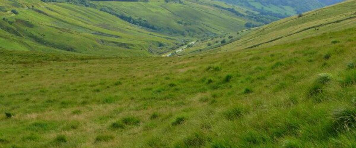 Nant Tywynni valley Viewed from near the watershed at Bwlch Bryn-rhudd.