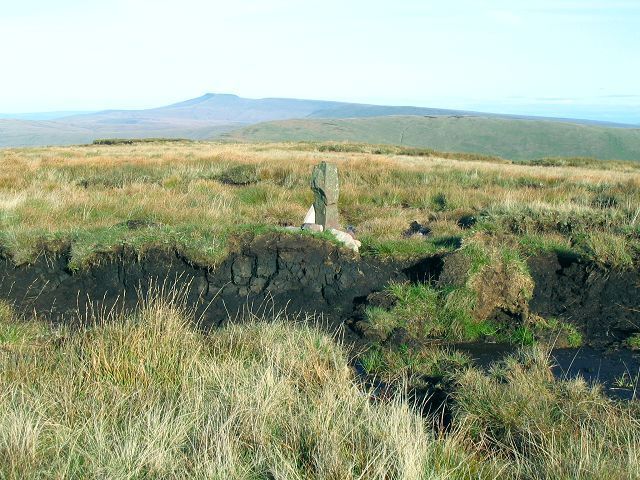 Summit of Fan Fraith A couple of measly stones mark the summit of this flat topped foothill to Fan Gyhirych. Hardly worth the effort of negotiating the adjacent bog.