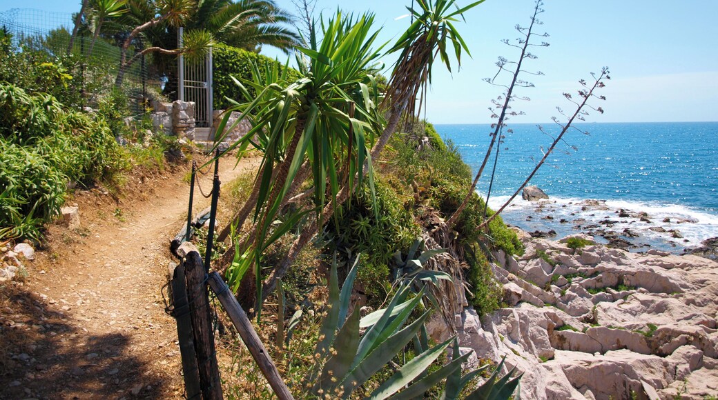 18039 Grimaldi IM, Italy