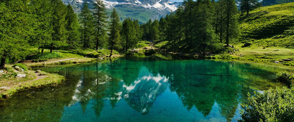 A clear mountain lake surrounded by dense forest and snow-capped peaks.