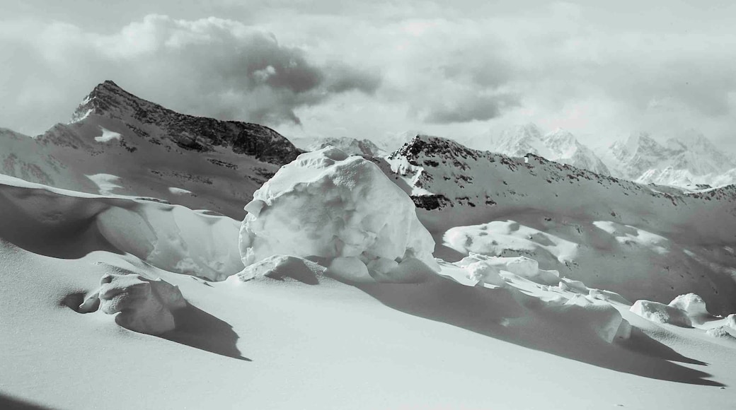 ‘Balance’
As the sun sets the shadows emerge, casting shades on all.
#BvS100k