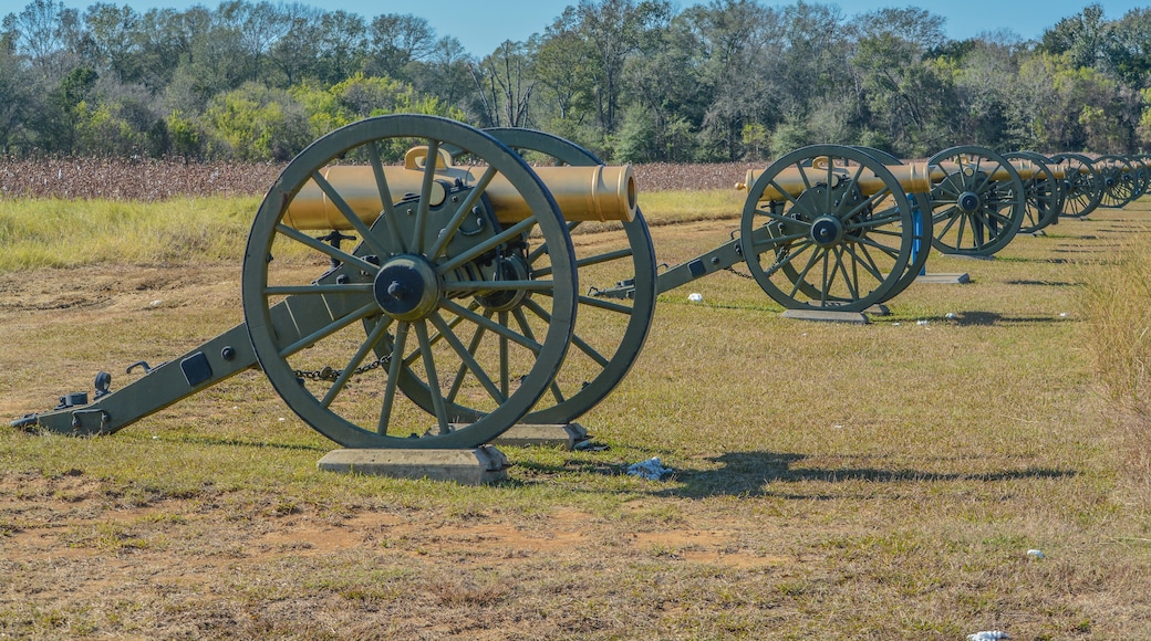 ๋ ์ด๋จผ๋