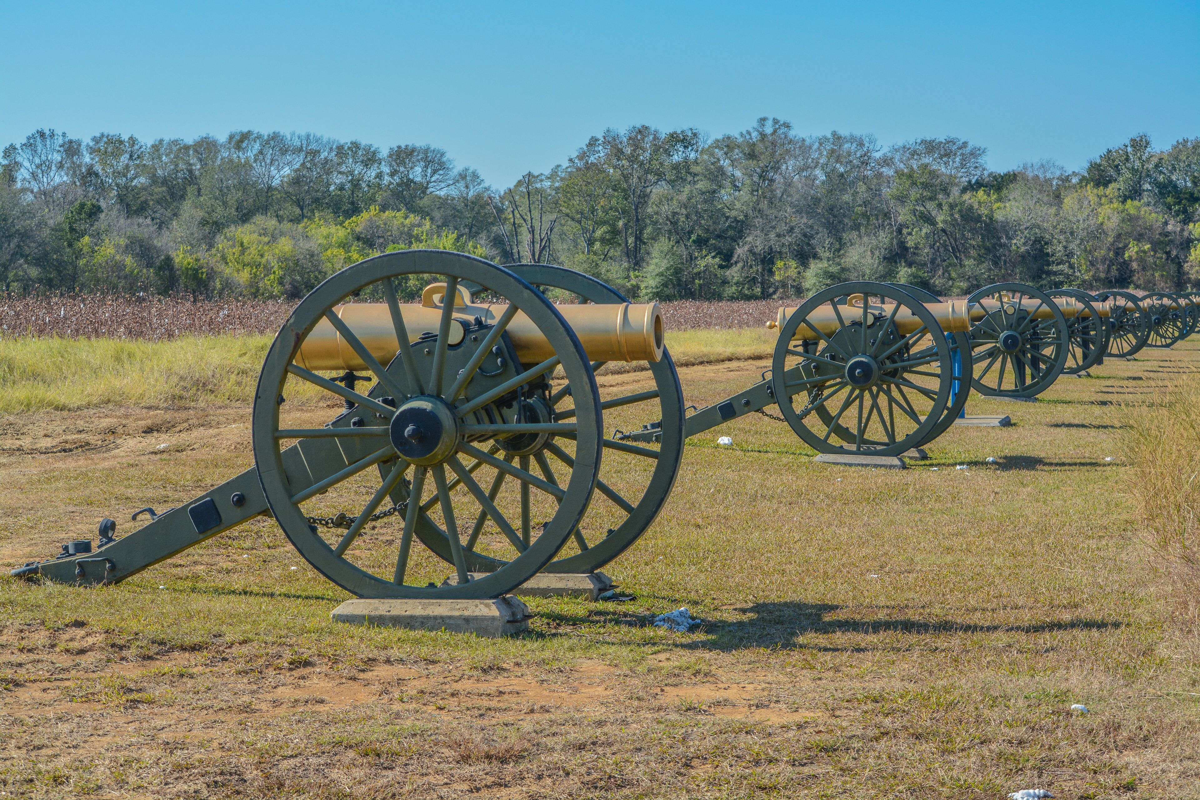 A row of cannons in a field with a forest in the background.