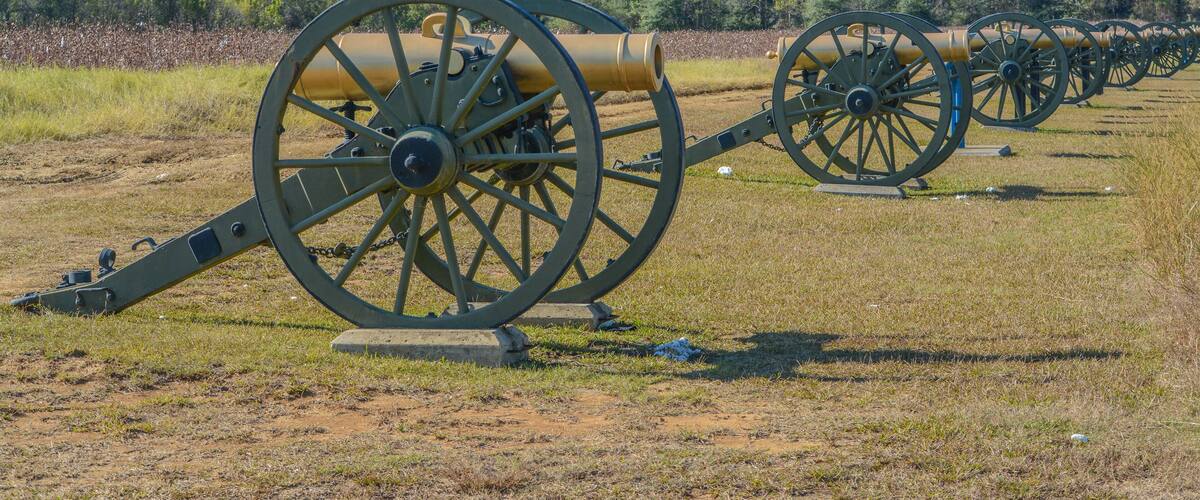 A row of cannons in a field with a forest in the background.