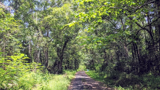 Burnley Road in Raymond, MS. In the middle of nowhere, but it's part of Burnley Family history.