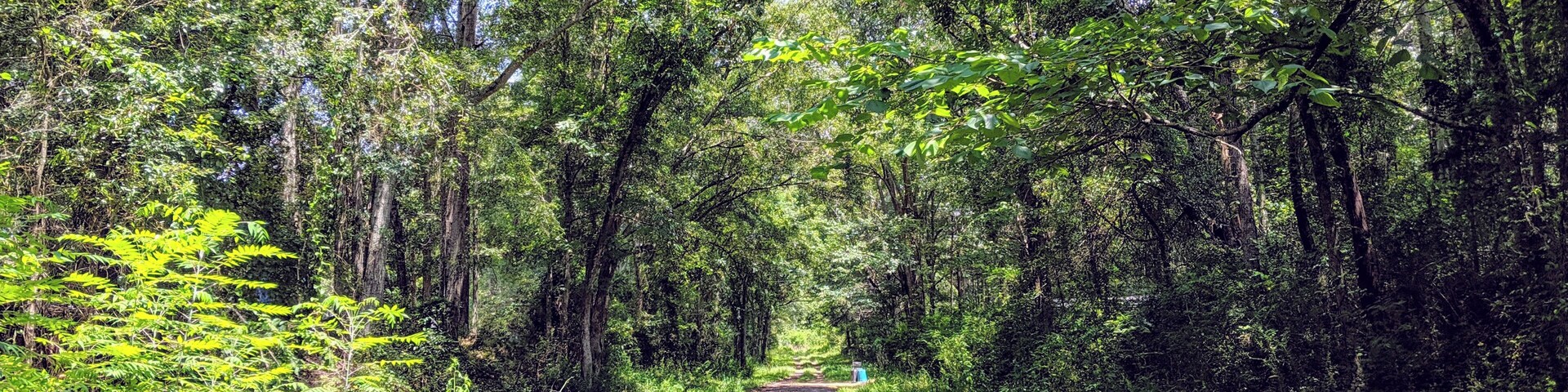Burnley Road in Raymond, MS. In the middle of nowhere, but it's part of Burnley Family history.