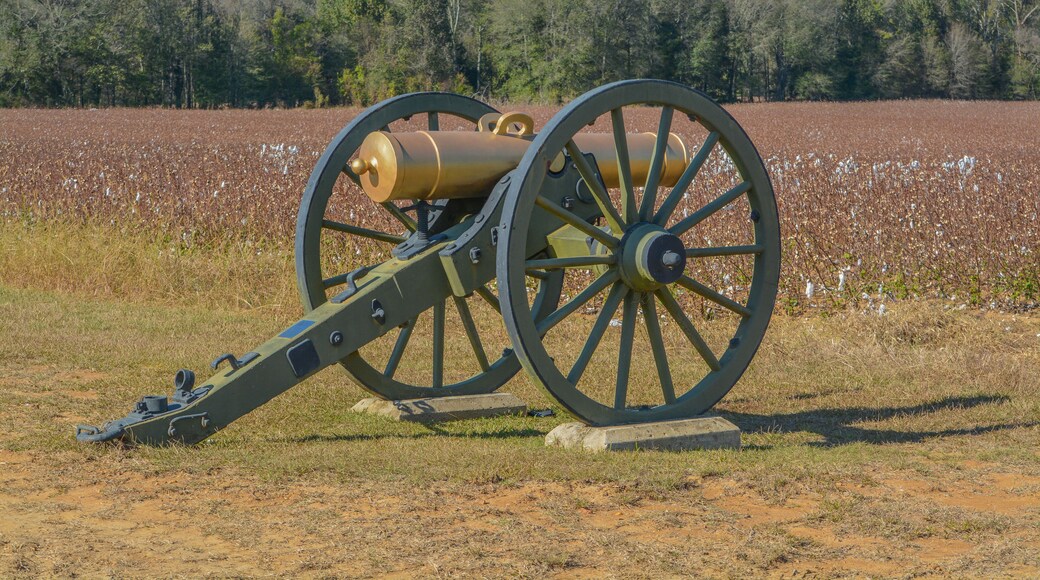 ๋ ์ด๋จผ๋