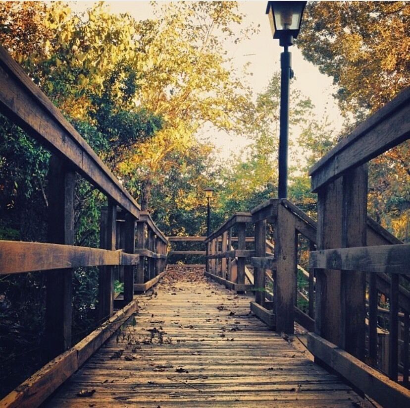 A beautiful boardwalk near the Cabins at Uchee Creek.