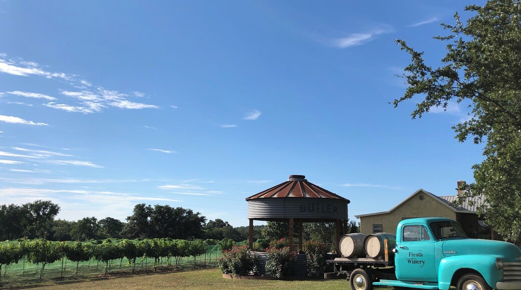 A destination winery in the drive to Colorado Bend State Park. Serves up assorted Fiesta wines and wood-fired pizzas. Very little cell service, if any, makes it possible to unplug and enjoy the sites.