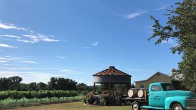 A destination winery in the drive to Colorado Bend State Park. Serves up assorted Fiesta wines and wood-fired pizzas. Very little cell service, if any, makes it possible to unplug and enjoy the sites.