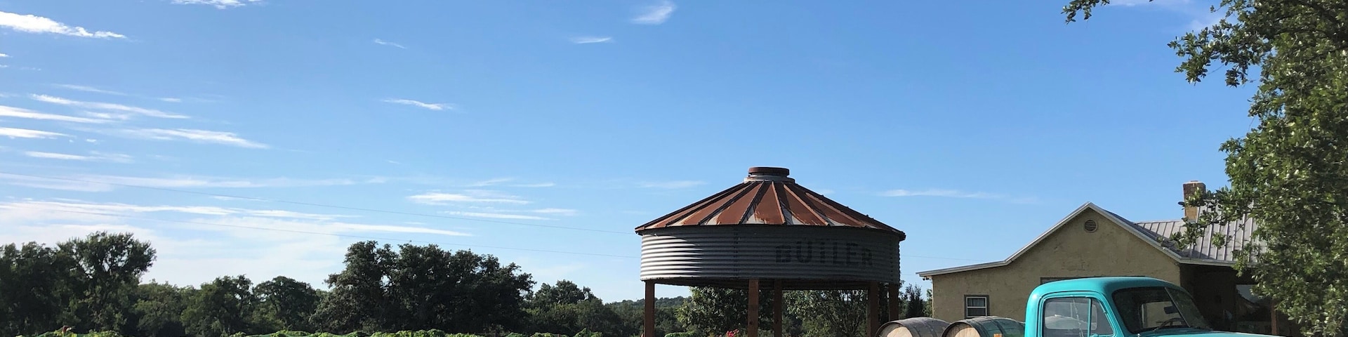 A destination winery in the drive to Colorado Bend State Park. Serves up assorted Fiesta wines and wood-fired pizzas. Very little cell service, if any, makes it possible to unplug and enjoy the sites.