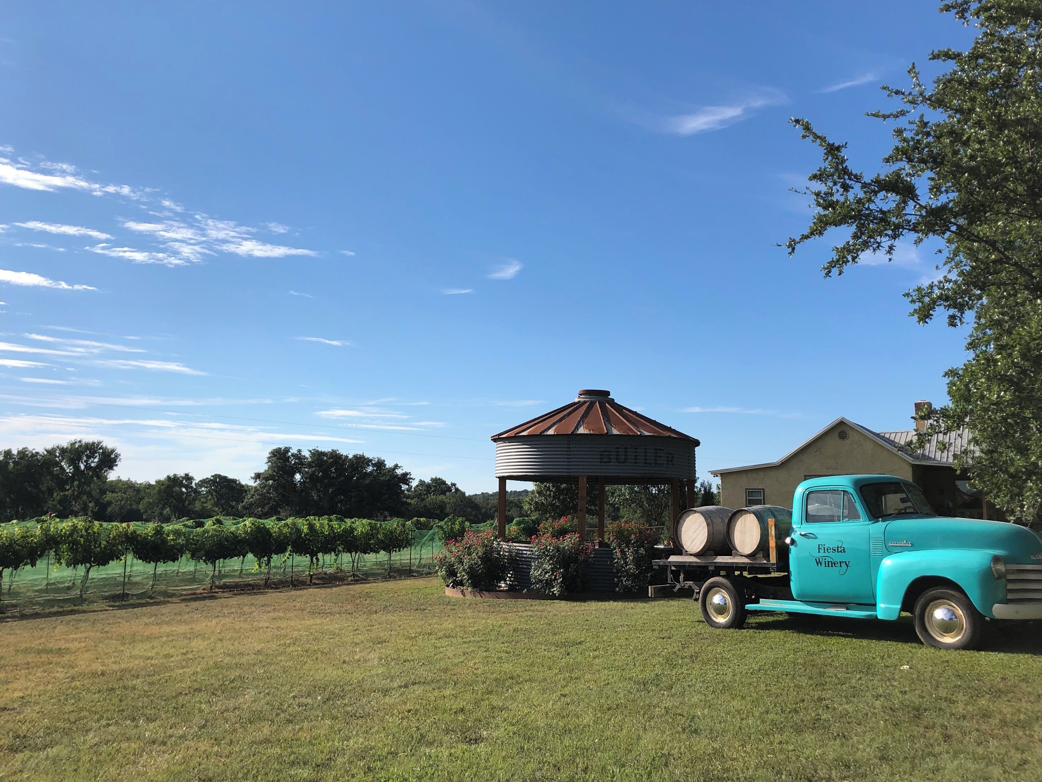 A vintage turquoise truck parked in a grassy field with a metal gazebo labeled "GUTIER" and a building labeled "Fiesta Winery" in the background.