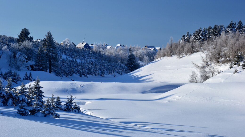 Přírodní park Bezručovo údolí - Bezručovo údolí pod Horou Svatého Šebestiána