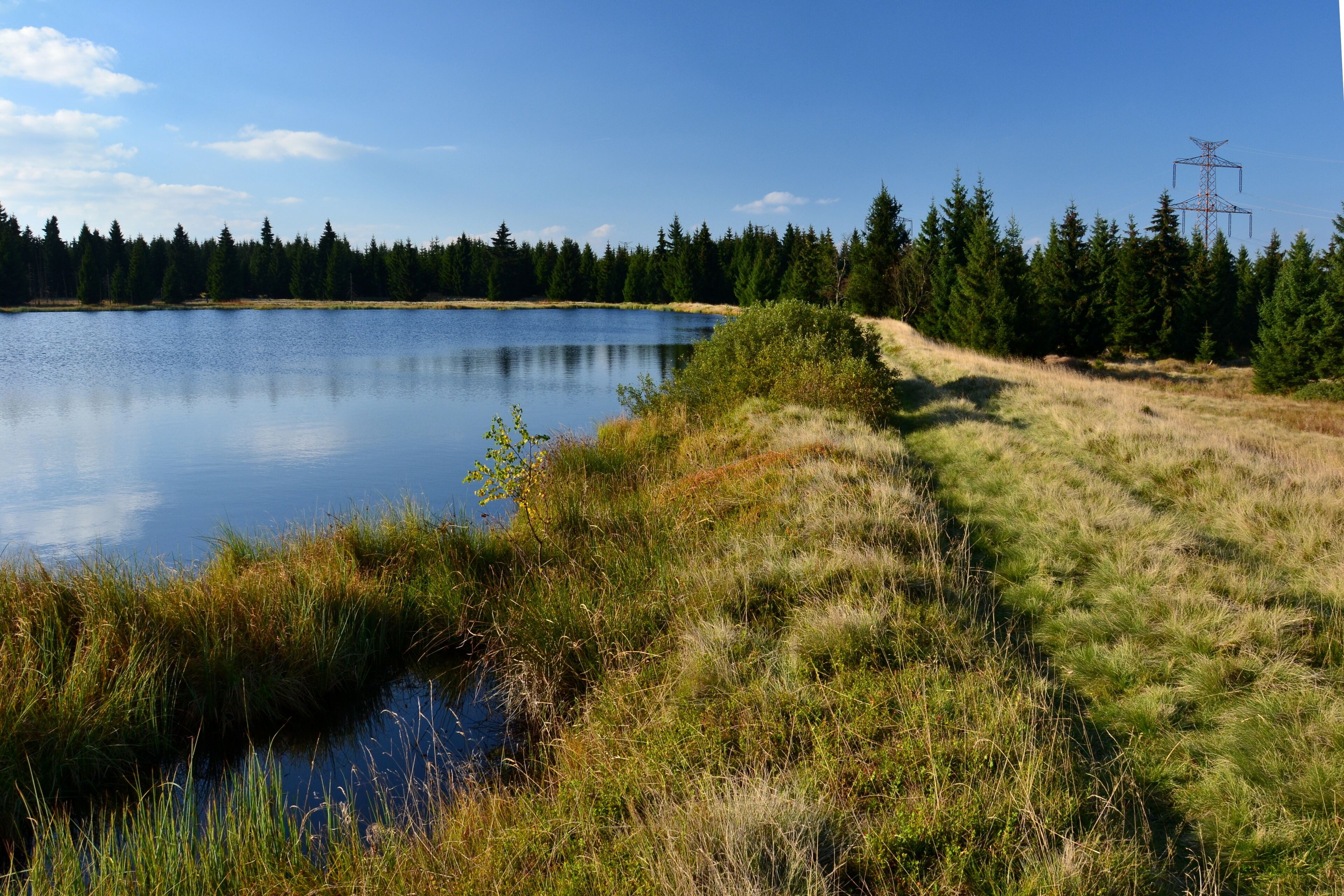 A calm lake surrounded by dense forest and a power line tower.