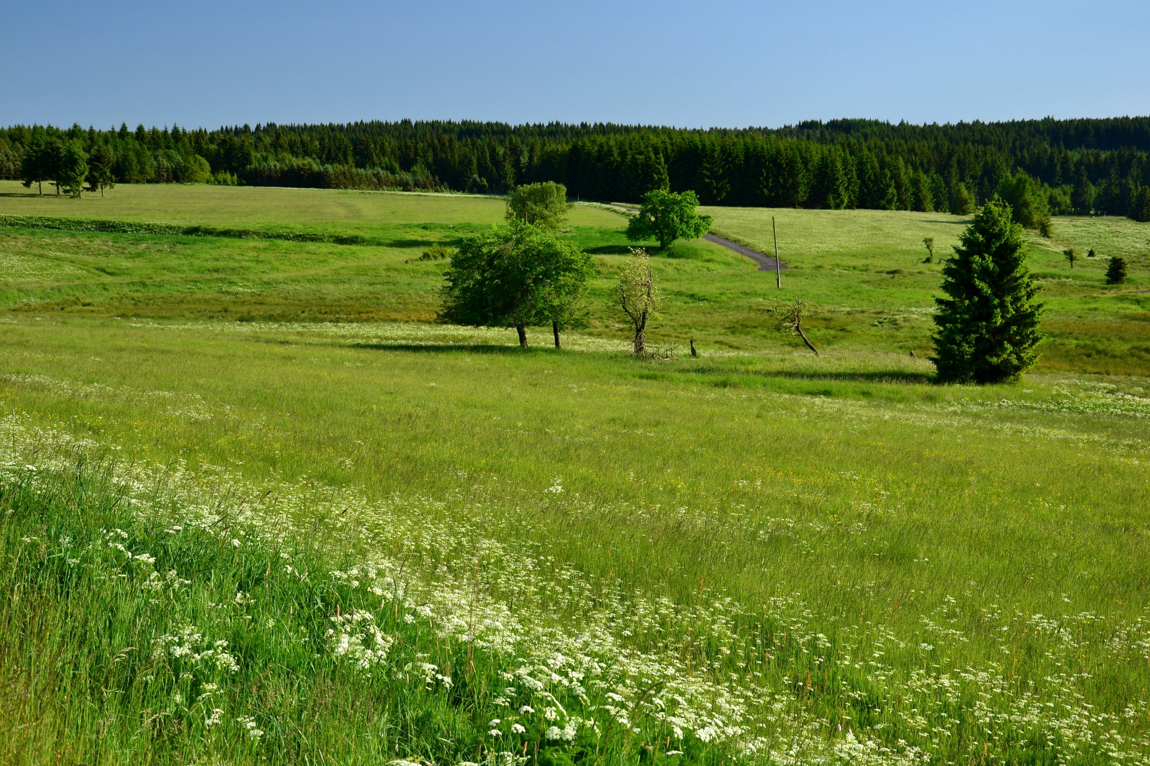Louky v okolí zaniklé vesnice Jilmová