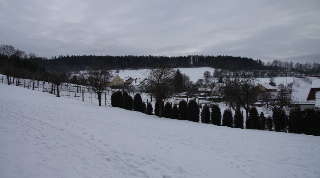 Bohumilice village, Prachatice District, Czech Republic