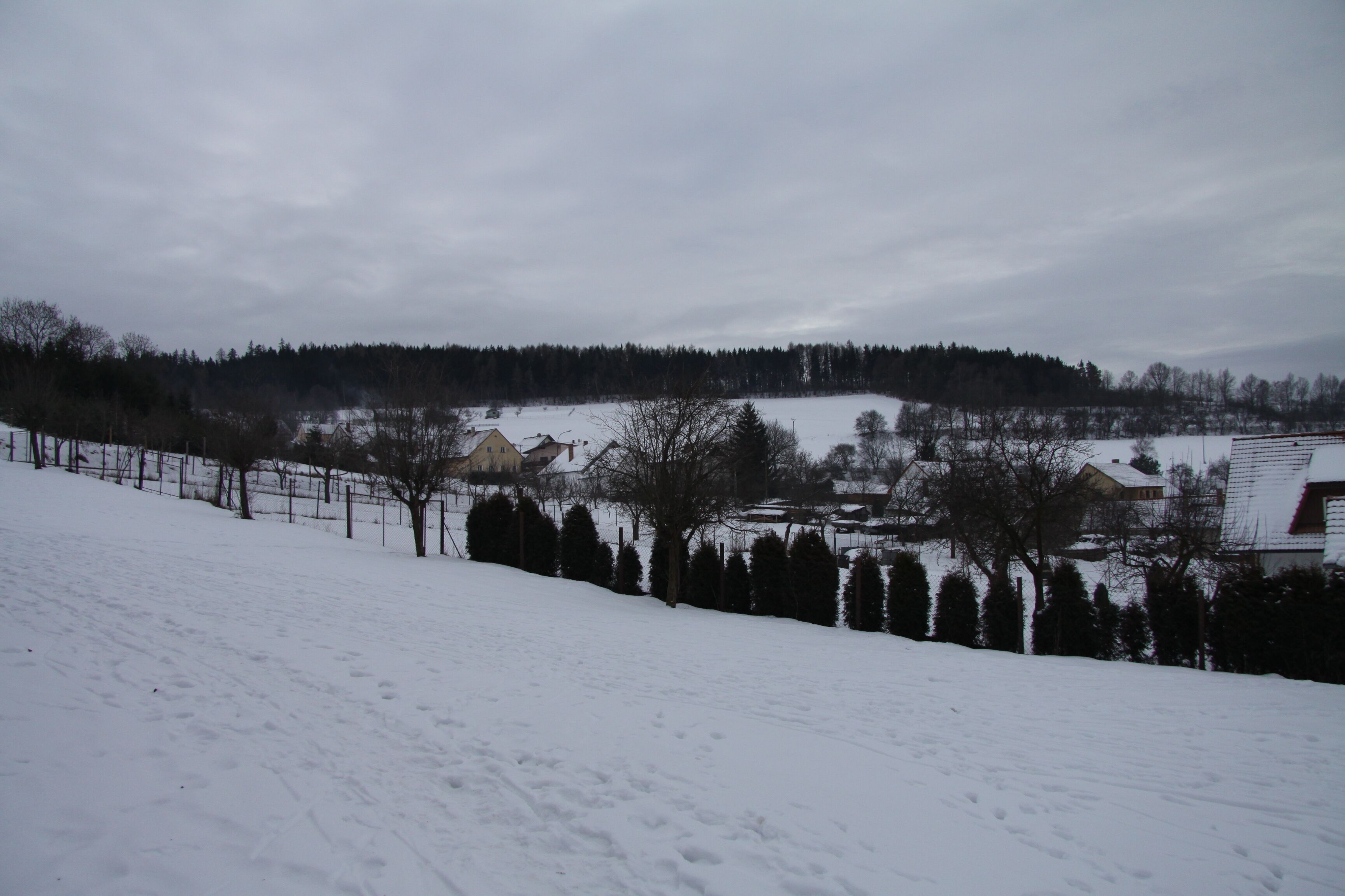 A snow-covered landscape with a fence, trees, and houses in the background.