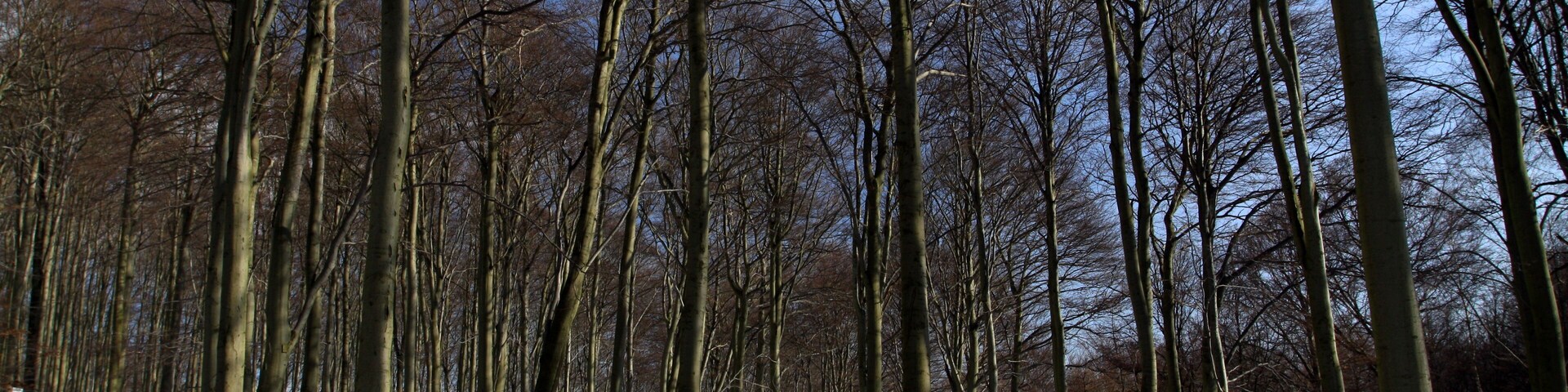 National nature reserve Jezerka near HornĂ JiĆetĂn in Most District, Czech Republic
