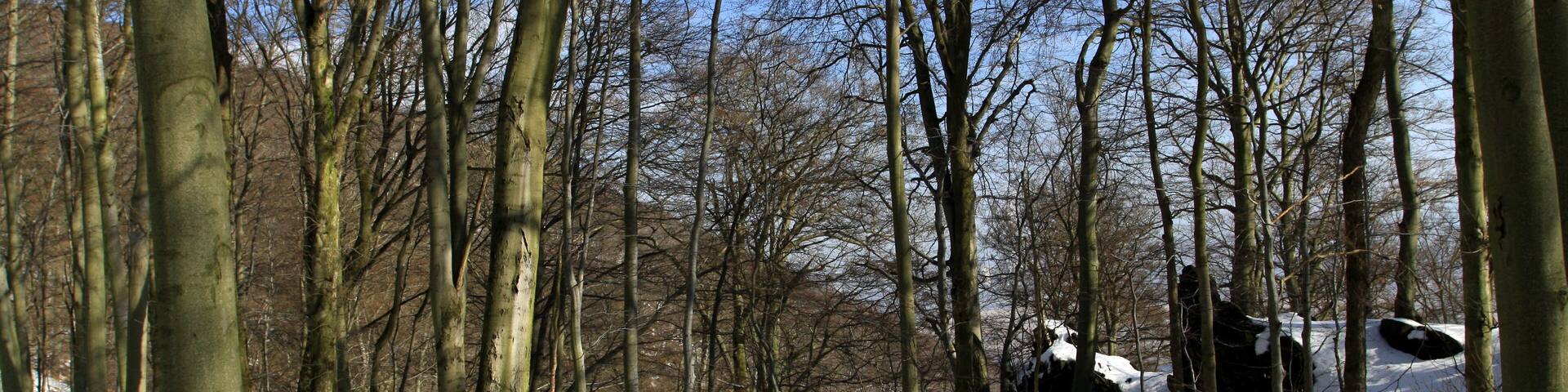 National nature reserve Jezerka near Horní Jiřetín in Most District, Czech Republic