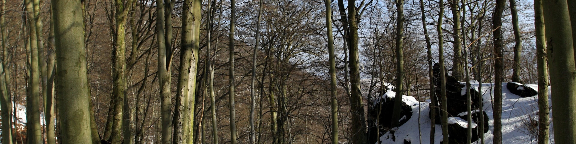 National nature reserve Jezerka near HornĂ JiĆetĂn in Most District, Czech Republic