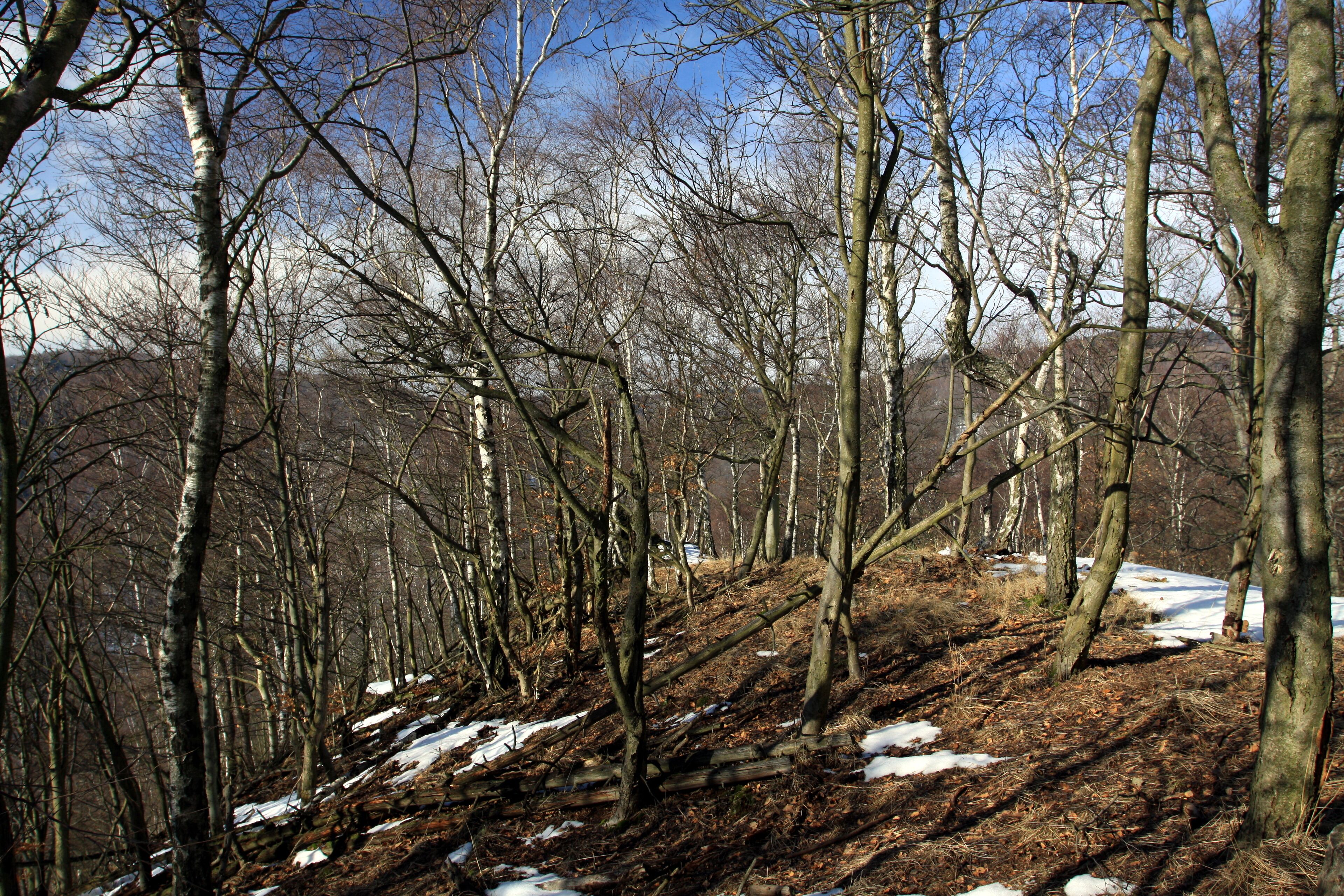 National nature reserve Jezerka near Horní Jiřetín in Most District, Czech Republic