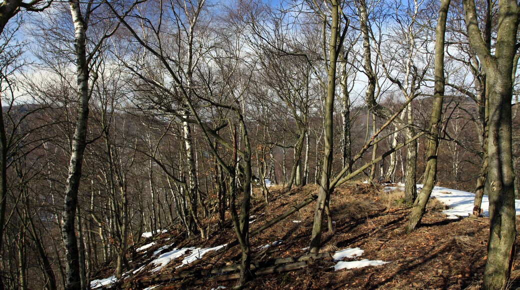 National nature reserve Jezerka near Horní Jiřetín in Most District, Czech Republic