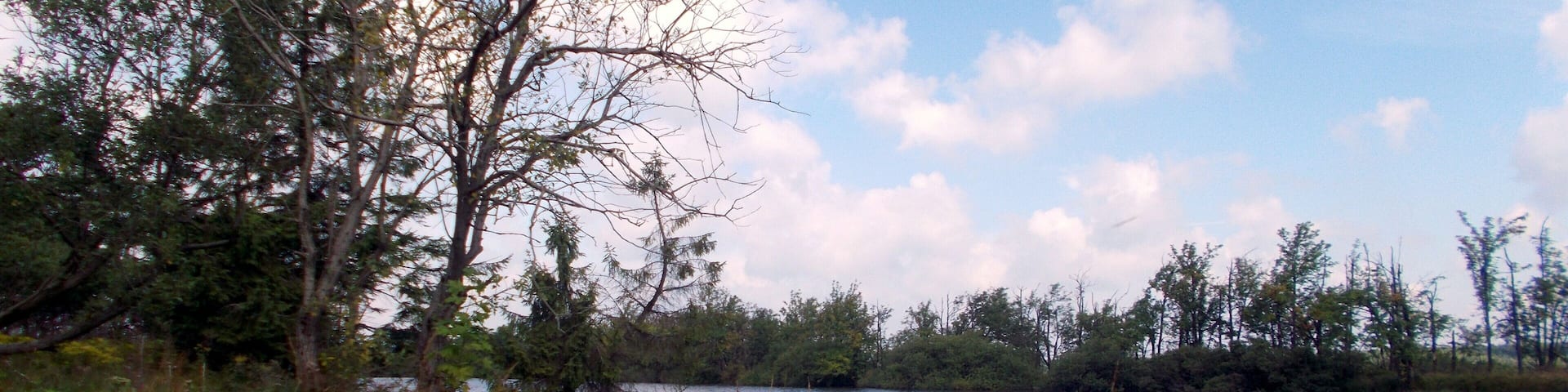 2017-07-27 Cinovec Dlouhý rybník