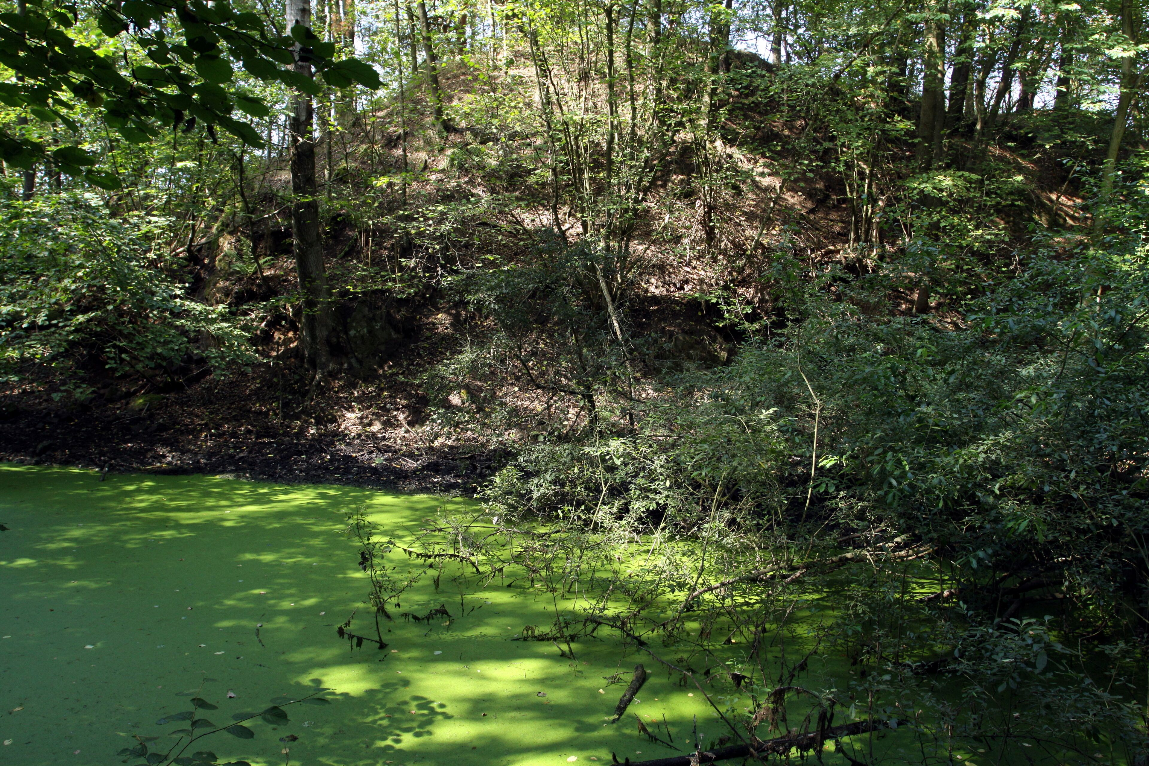 Natural monument Mutěnínský lom near Mutěnín village in Domažlice District, Czech Republic