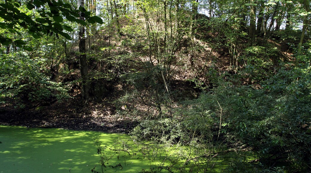 Natural monument Mutěnínský lom near Mutěnín village in Domažlice District, Czech Republic